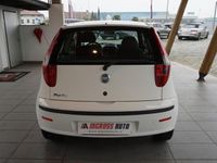 usata Fiat Punto 1.2 3 porte Active