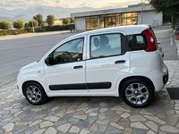 Usata Fiat Panda Young 75 CV (55 kW) 2016 Utilitaria
