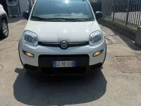 Usata Fiat Panda S 69 CV (50 kW) 2023 Bianco Utilitaria