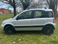 Usata Fiat Panda 77 CV (56 kW) 2008 Grigio Utilitaria