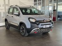 usata Fiat Panda Cross 1.0 FireFly S&S Hybrid