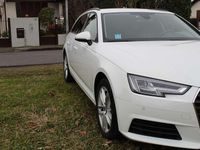 Usata Audi A4 Business 122 CV (89 kW) 2019 Station wagon