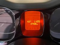 Usata Fiat Panda 4x4 80 CV (58 kW) 2014 Verde Utilitaria