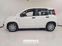 Nuova Fiat Panda S 70 CV (51 kW) 2025 Bianco Utilitaria