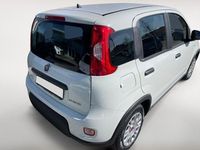 Usata Fiat Panda S 69 CV (50 kW) 2024 Bianco Berlina