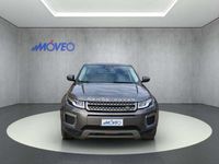 Usata Land Rover Range Rover evoque HSE 150 CV (110 kW) 2017 Grigio SUV