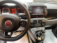 Usata Fiat Panda Cross Cross 69 CV (50 kW) 2023 Grigio Utilitaria