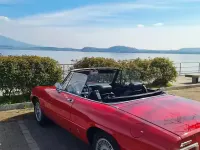 Usata Alfa Romeo Spider Veloce 128 CV (94 kW) 1980 Cabrio