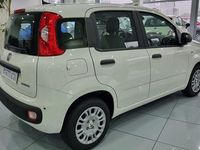 Nuova Fiat Panda S 69 CV (50 kW) 2025 Bianco Berlina