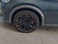 Usata Cupra Formentor VZ 310 CV (228 kW) 2021 Verde SUV