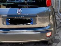 Usata Fiat Panda 95 CV (69 kW) 2019 Grigio Utilitaria