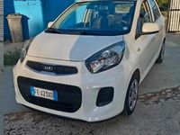 Usata Kia Picanto 2016 Bianco Utilitaria