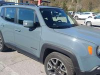 Usata Jeep Renegade Longitude 120 CV (88 kW) 2019 Grigio SUV
