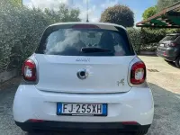 Usata Smart ForFour Passion 71 CV (52 kW) 2017 Bianco Utilitaria