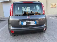 Usata Fiat Panda 69 CV (50 kW) 2019 Utilitaria