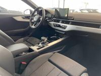 usata Audi A5 Sportback 40 TDI quattro S tronic S line edition nuova a Conegliano