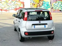 Usata Fiat Panda 69 CV (50 kW) 2016 Grigio Utilitaria
