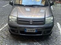 Usata Fiat Panda Cross 60 CV (44 kW) 2010 Utilitaria