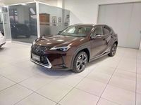 Usata Lexus UX 250h Luxury Line 184 CV (135 kW) 2021 Bronzo SUV
