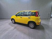 Nuova Fiat Panda 69 CV (50 kW) 2025 Other Utilitaria