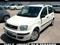 Usata Fiat Panda 59 CV (43 kW) 2009 Bianco Utilitaria