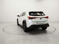 usata Lexus UX 250h Hybrid Executive