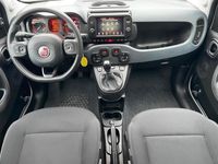 Usata Fiat Panda Cross Cross 69 CV (50 kW) 2024 Bianco Utilitaria