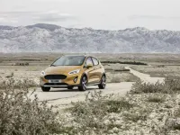 Usata Ford Fiesta Active 101 CV (74 kW) 2019 0q pure white Utilitaria