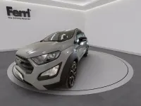 Usata Ford Ecosport Active 125 CV (91 kW) 2022 Gray matter SUV