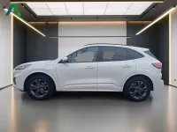 Usata Ford Kuga ST-Line X 225 CV (165 kW) 2023 Platinum white (colore speciale) SUV