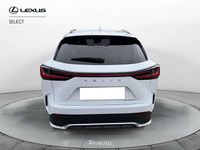 Usata Lexus NX300h Sport Line 243 CV (178 kW) 2022 Bianco SUV