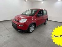 usata Fiat Panda 1.0 firefly hybrid s&s #varicolori