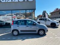 Usata Fiat Panda Easy 69 CV (50 kW) 2017 Giallo Utilitaria