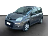 Usata Fiat Panda Easy 69 CV (50 kW) 2021 Grigio Utilitaria