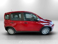 Usata Fiat Panda S 70 CV (51 kW) 2024 Rosso passione Utilitaria