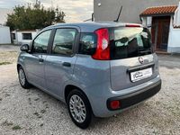 Usata Fiat Panda Easy 70 CV (51 kW) 2020 Grigio Utilitaria