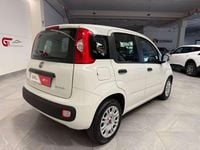 Usata Fiat Panda S 70 CV (51 kW) 2021 Bianco Utilitaria