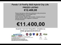 usata Fiat Panda NewPanda My21 1.0 70cv Hybrid City Life