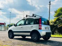 Usata Fiat Panda 4x4 60 CV (44 kW) 2008 Grigio Utilitaria