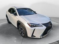 usata Lexus UX 250h Hybrid Executive