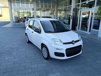 Nuova Fiat Panda Icon 69 CV (50 kW) 2025 Bianco Utilitaria