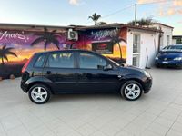 usata Ford Fiesta 1.4 TDCi 5p. Titanium Neopatentati