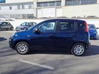 usata Fiat Panda 1.2 69CV E6 EASY