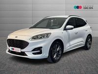 Usata Ford Kuga ST-Line X 120 CV (88 kW) 2020 Bianco SUV