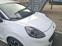 Usata Ford Puma ST-Line X 125 CV (91 kW) 2023 Bianco SUV