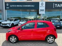 Usata Kia Picanto Urban 67 CV (49 kW) 2021 Rosso Utilitaria