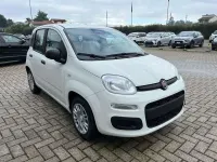 Nuova Fiat Panda Icon 69 CV (50 kW) 2025 Bianco Utilitaria