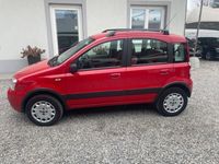 usata Fiat Panda 4x4 1.2 Climbing usato