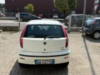 Usata Fiat Punto Active 69 CV (50 kW) 2006 Bianco Utilitaria