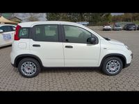 usata Fiat Panda 1.0 FireFly S&S Hybrid nuova a Massarosa
